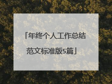 年终个人工作总结范文标准版5篇