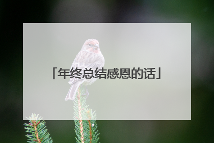年终总结感恩的话