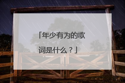 年少有为的歌词是什么？