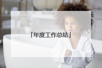 年度工作总结