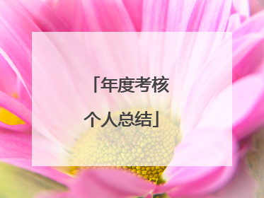 年度考核个人总结