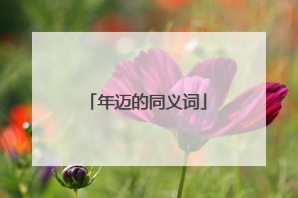 年迈的同义词