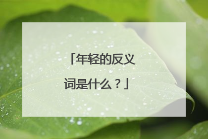 年轻的反义词是什么？