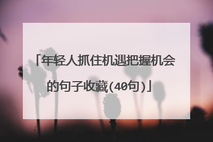 年轻人抓住机遇把握机会的句子收藏(40句)