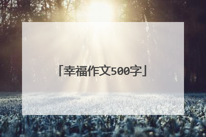 幸福作文500字