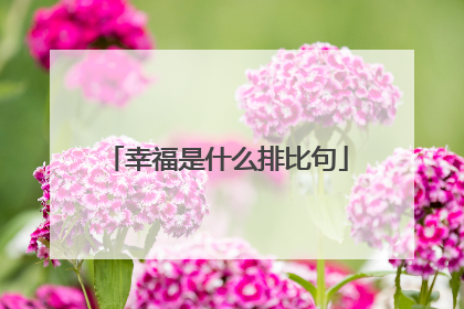 幸福是什么排比句