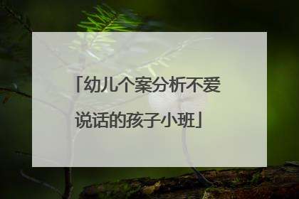 幼儿个案分析不爱说话的孩子小班