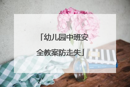 幼儿园中班安全教案防走失
