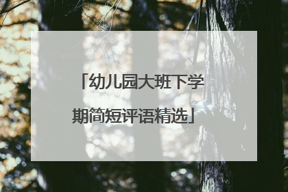 幼儿园大班下学期简短评语精选