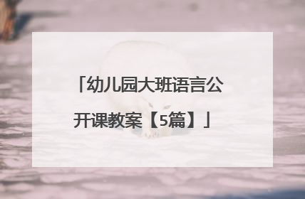 幼儿园大班语言公开课教案【5篇】
