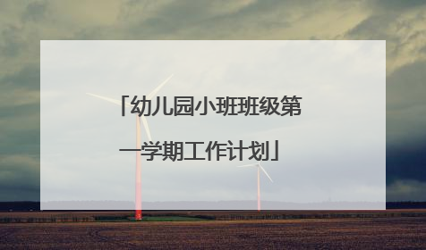 幼儿园小班班级第一学期工作计划