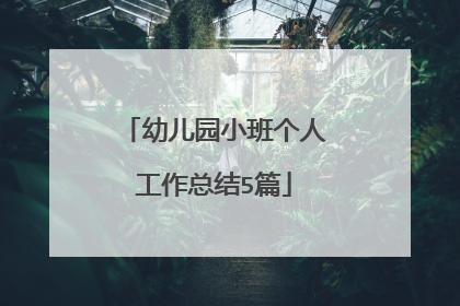 幼儿园小班个人工作总结5篇