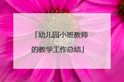 幼儿园小班教师的教学工作总结