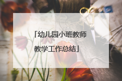幼儿园小班教师教学工作总结