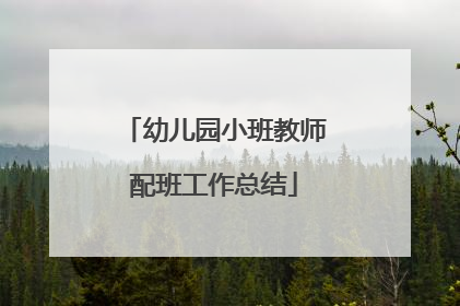 幼儿园小班教师配班工作总结
