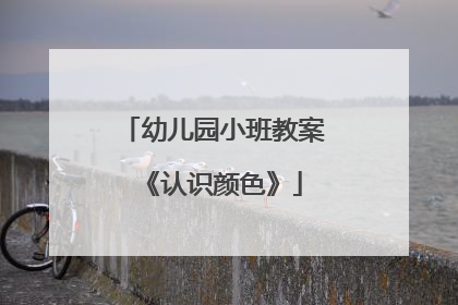 幼儿园小班教案《认识颜色》