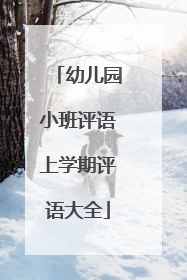 幼儿园小班评语上学期评语大全