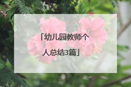 幼儿园教师个人总结3篇