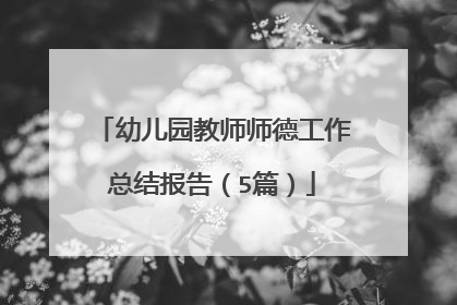 幼儿园教师师德工作总结报告（5篇）