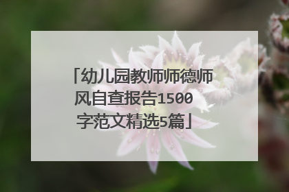 幼儿园教师师德师风自查报告1500字范文精选5篇