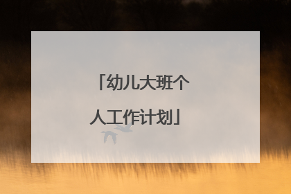 幼儿大班个人工作计划