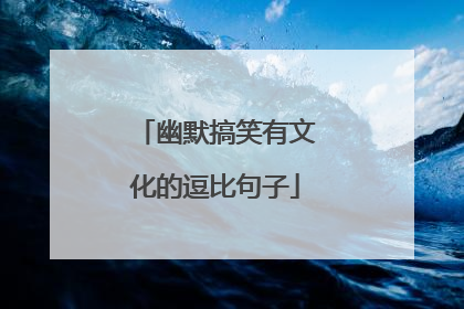 幽默搞笑有文化的逗比句子