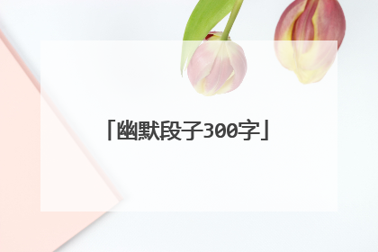 幽默段子300字