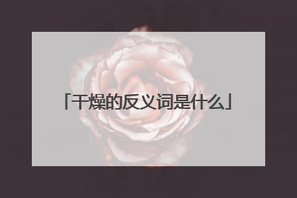 干燥的反义词是什么