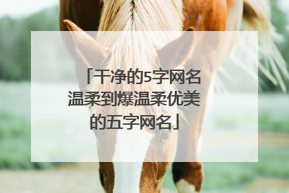 干净的5字网名温柔到爆温柔优美的五字网名