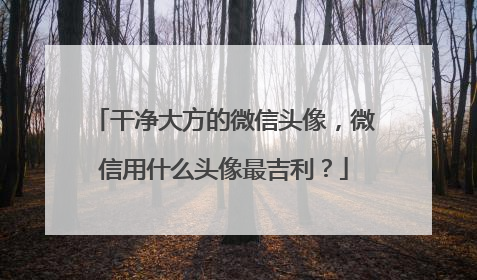 干净大方的微信头像，微信用什么头像最吉利？