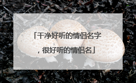 干净好听的情侣名字,很好听的情侣名