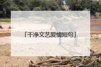 干净文艺爱情短句