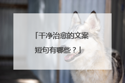 干净治愈的文案短句有哪些？