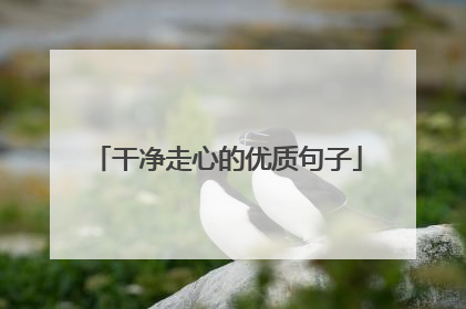 干净走心的优质句子