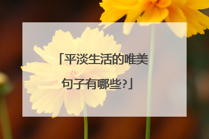 平淡生活的唯美句子有哪些?