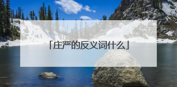 庄严的反义词什么