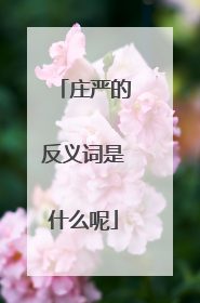 庄严的反义词是什么呢