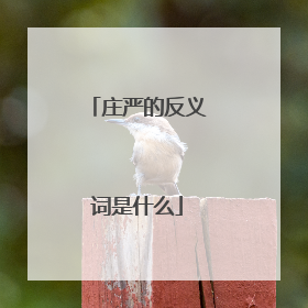 庄严的反义词是什么