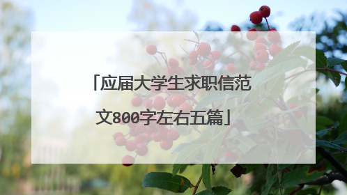 应届大学生求职信范文800字左右五篇