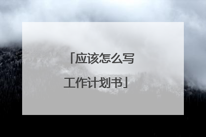应该怎么写工作计划书
