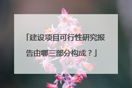建设项目可行性研究报告由哪三部分构成?