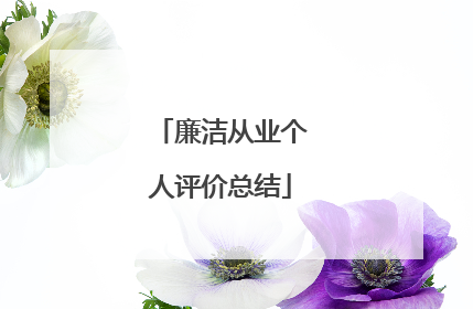 廉洁从业个人评价总结