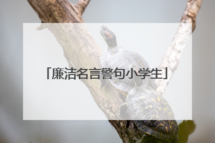 廉洁名言警句小学生