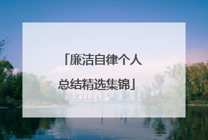 廉洁自律个人总结精选集锦