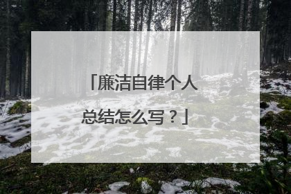 廉洁自律个人总结怎么写？