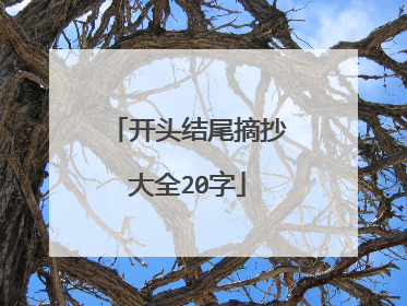 开头结尾摘抄大全20字