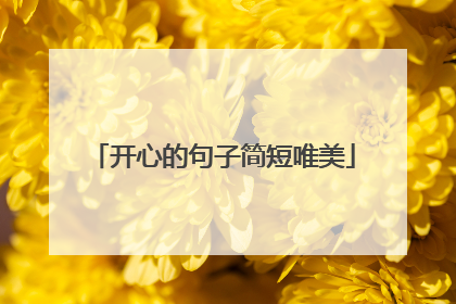 开心的句子简短唯美