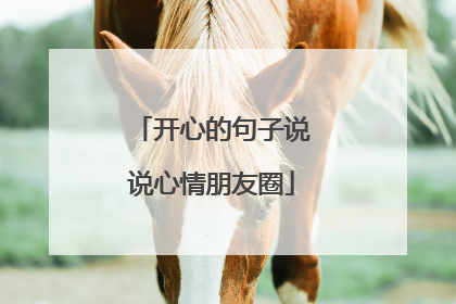 开心的句子说说心情朋友圈