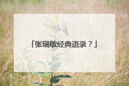张瑞敏经典语录？