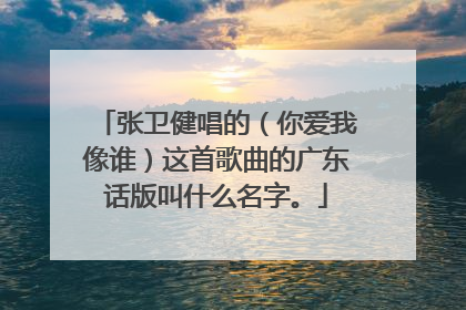 张卫健唱的（你爱我像谁）这首歌曲的广东话版叫什么名字。